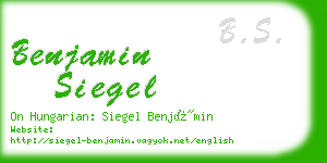 benjamin siegel business card